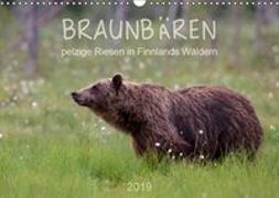 Braunbären - pelzige Riesen in Finnlands Wäldern (Wandkalender 2019 DIN A3 quer)