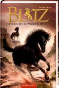 Blitz (Bd. 3)