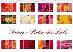 Rosen - Boten der Liebe (Wandkalender 2019 DIN A3 quer)