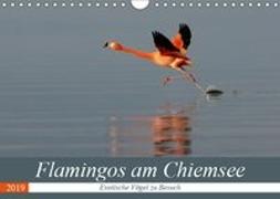 Flamingos am Chiemsee (Wandkalender 2019 DIN A4 quer)