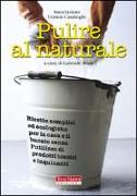 Pulire al naturale. Ricette semplici ed ecologiche per la casa e il bucato senza l'utilizzo di prodotti tossici e inquinanti