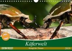 Käferwelt - Kampf der Titanen (Wandkalender 2019 DIN A4 quer)