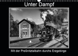 Unter Dampf - Mit der Preßnitztalbahn durchs Erzgebirge (Wandkalender 2019 DIN A3 quer)