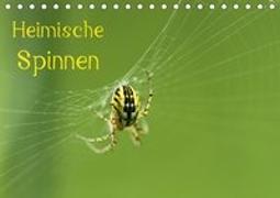 Heimische Spinnen (Tischkalender 2019 DIN A5 quer)