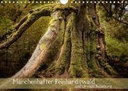 Märchenhafter Reinhardswald und Urwald Sababurg (Wandkalender 2019 DIN A4 quer)