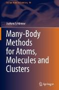 Many-Body Methods for Atoms, Molecules and Clusters