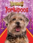 Yorkipoos