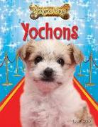 Yochons