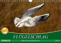 Flügelschlag - Vögel in ihrem natürlichen Lebensraum (Wandkalender 2019 DIN A4 quer)