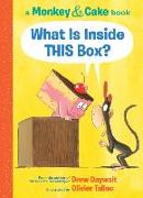 What Is Inside This Box? (Monkey & Cake): Volume 1