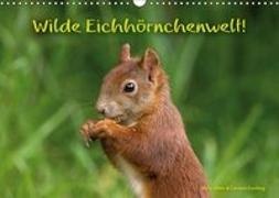Wilde Eichhörnchenwelt! (Wandkalender 2019 DIN A3 quer)