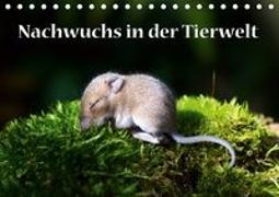 Nachwuchs in der Tierwelt (Tischkalender 2019 DIN A5 quer)