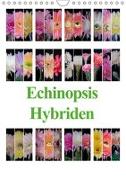 Echinopsis Hybriden (Wandkalender 2019 DIN A4 hoch)