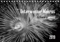Unterwasser Makros - schwarz weiss 2019 (Tischkalender 2019 DIN A5 quer)