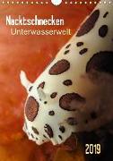 Nacktschnecken - Unterwasserwelt 2019 (Wandkalender 2019 DIN A4 hoch)