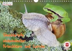 GEOclick Lernkalender: Steckbriefe einheimischer Kriechtiere und Lurche (Wandkalender 2019 DIN A4 quer)