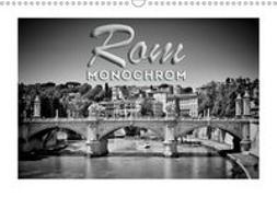 ROM Monochrom (Wandkalender 2019 DIN A3 quer)