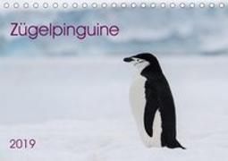 Zügelpinguine (Tischkalender 2019 DIN A5 quer)