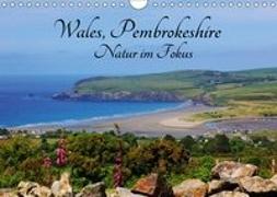 Wales Pembrokeshire - Natur im Fokus- (Wandkalender 2019 DIN A4 quer)