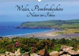 Wales Pembrokeshire - Natur im Fokus- (Wandkalender 2019 DIN A3 quer)