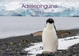 Adéliepinguine (Wandkalender 2019 DIN A3 quer)