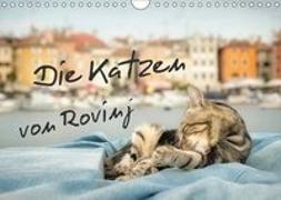 Die Katzen von Rovinj (Wandkalender 2019 DIN A4 quer)