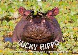 Emotional Moments: Lucky Hippo / UK-Version (Wall Calendar 2019 DIN A3 Landscape)