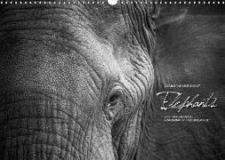 Emotional Moments: Elephants / UK Version (Wall Calendar 2019 DIN A3 Landscape)