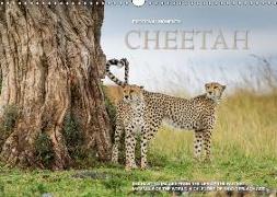 Emotional Moments: Cheetah UK Version (Wall Calendar 2019 DIN A3 Landscape)
