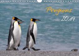 Penguins 2019 (Wall Calendar 2019 DIN A4 Landscape)