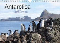 Antarctica (UK - Version) (Wall Calendar 2019 DIN A4 Landscape)