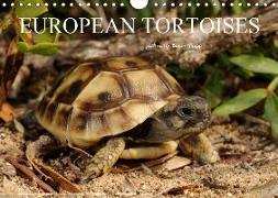 European Tortoises / UK-Version (Wall Calendar 2019 DIN A4 Landscape)