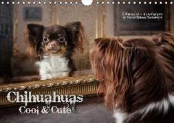Chihuahuas - Cool & Cute / UK-Version (Wall Calendar 2019 DIN A4 Landscape)