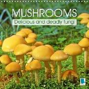 Mushrooms - Delicious and deadly fungi (Wall Calendar 2019 300 × 300 mm Square)