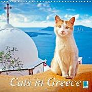 Cats in Greece (Wall Calendar 2019 300 × 300 mm Square)