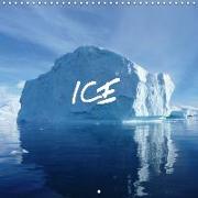 ICE (Wall Calendar 2019 300 × 300 mm Square)