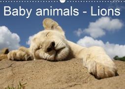 Baby animals - Lions (Wall Calendar 2019 DIN A3 Landscape)