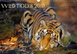 Wild Tigers 2019 (Wall Calendar 2019 DIN A3 Landscape)