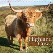 Highland Cows (Wall Calendar 2019 300 × 300 mm Square)