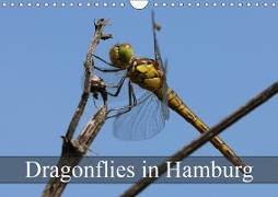Dragonflies in Hamburg (Wall Calendar 2019 DIN A4 Landscape)