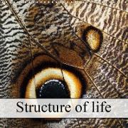 Structure of life (Wall Calendar 2019 300 × 300 mm Square)
