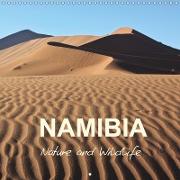 Namibia Nature and Wildlife (Wall Calendar 2019 300 × 300 mm Square)