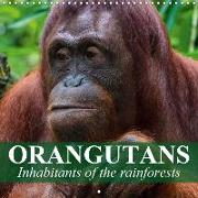 Orangutans Inhabitants of the rainforests (Wall Calendar 2019 300 × 300 mm Square)