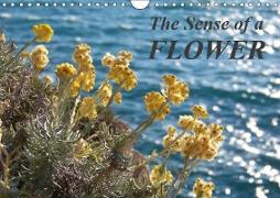 The Sense of a Flower (Wall Calendar 2019 DIN A4 Landscape)