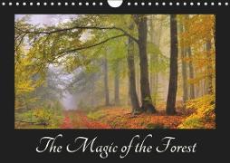 The Magic of the Forest (Wall Calendar 2019 DIN A4 Landscape)