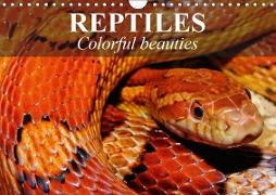 Reptiles Colorful beauties (Wall Calendar 2019 DIN A4 Landscape)