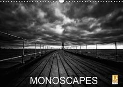 Monoscapes (Wall Calendar 2019 DIN A3 Landscape)