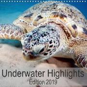 Underwater Highlights Edition 2019 (Wall Calendar 2019 300 × 300 mm Square)