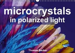 Microcrystals in polarized light (Wall Calendar 2019 DIN A3 Landscape)