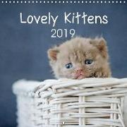 Lovely Kittens 2019 (Wall Calendar 2019 300 × 300 mm Square)
